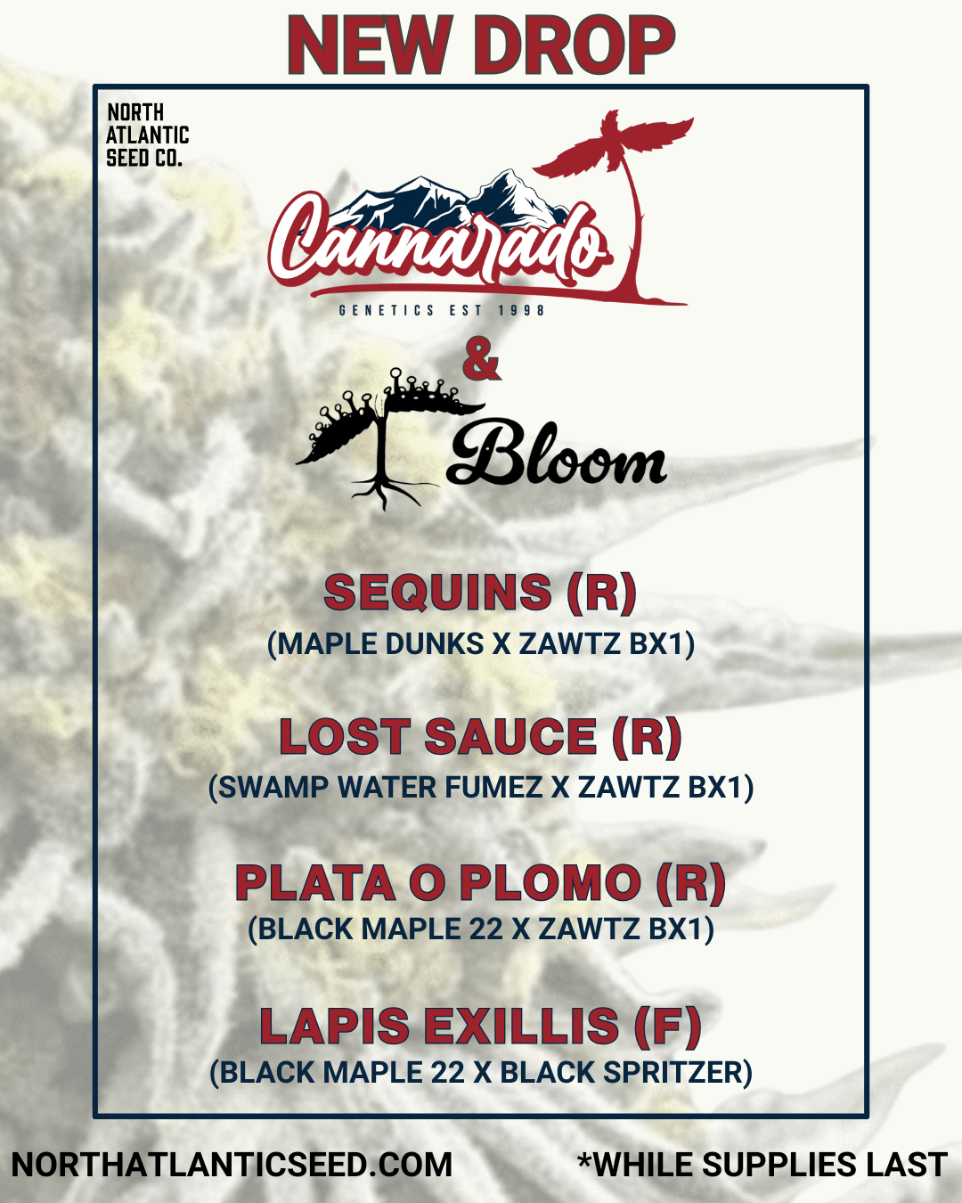 Cannarado Genetics cannabis seeds
