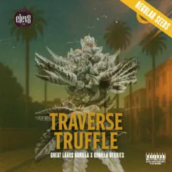 traverse truffle cannabis seeds by elev8 seeds