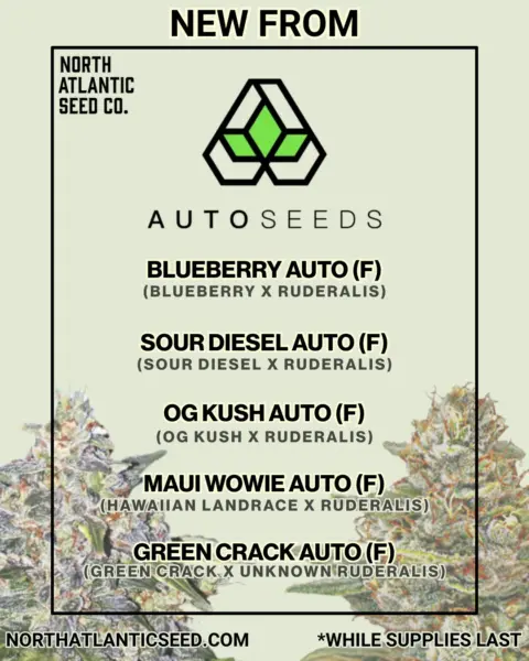 Auto Seeds New Strains 2025's promotional image