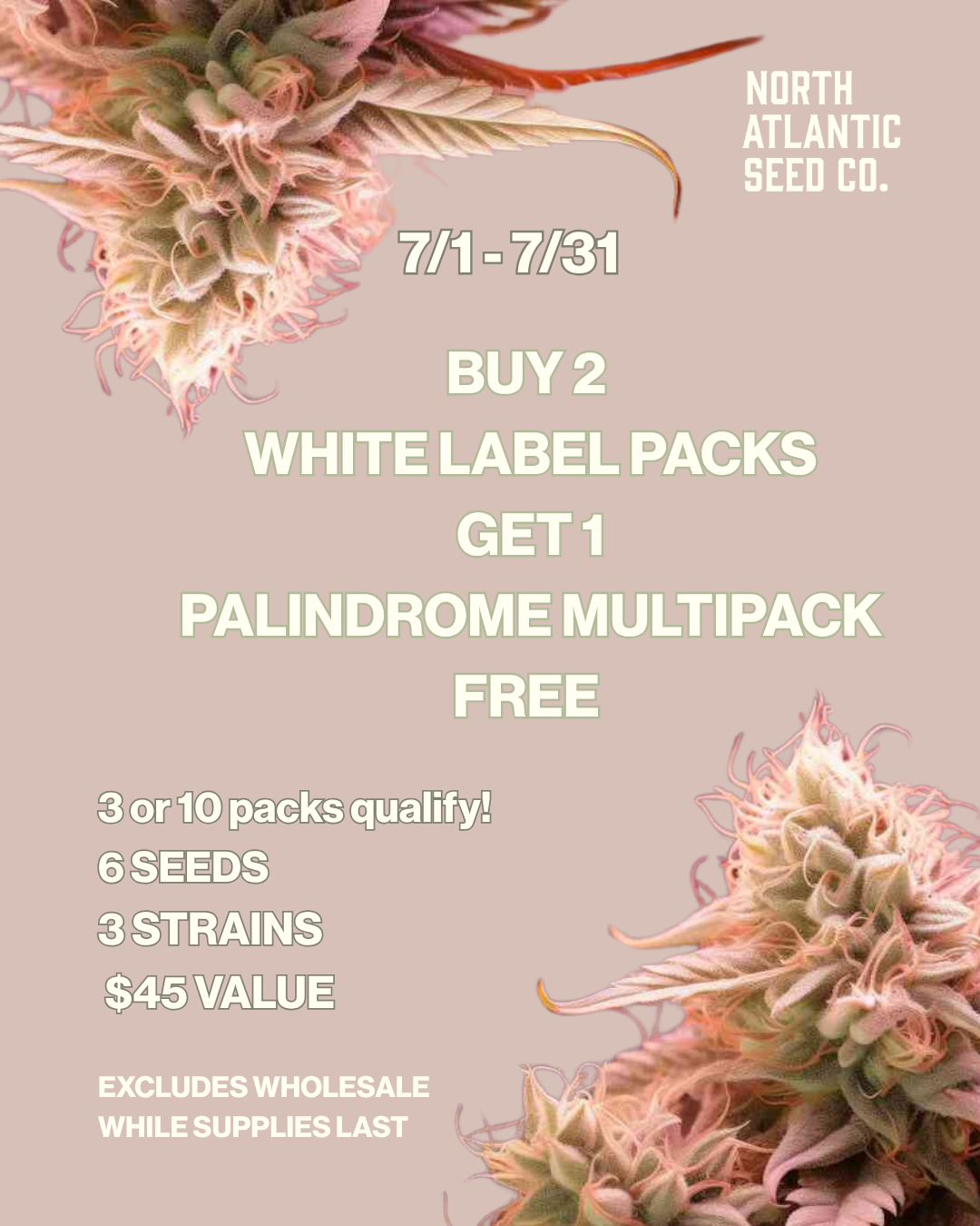 Bulk White Label cannabis seeds