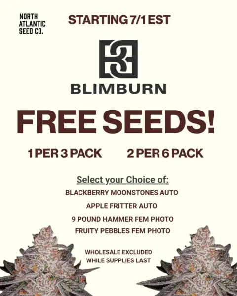 Blimburn Seeds's logo or representative image