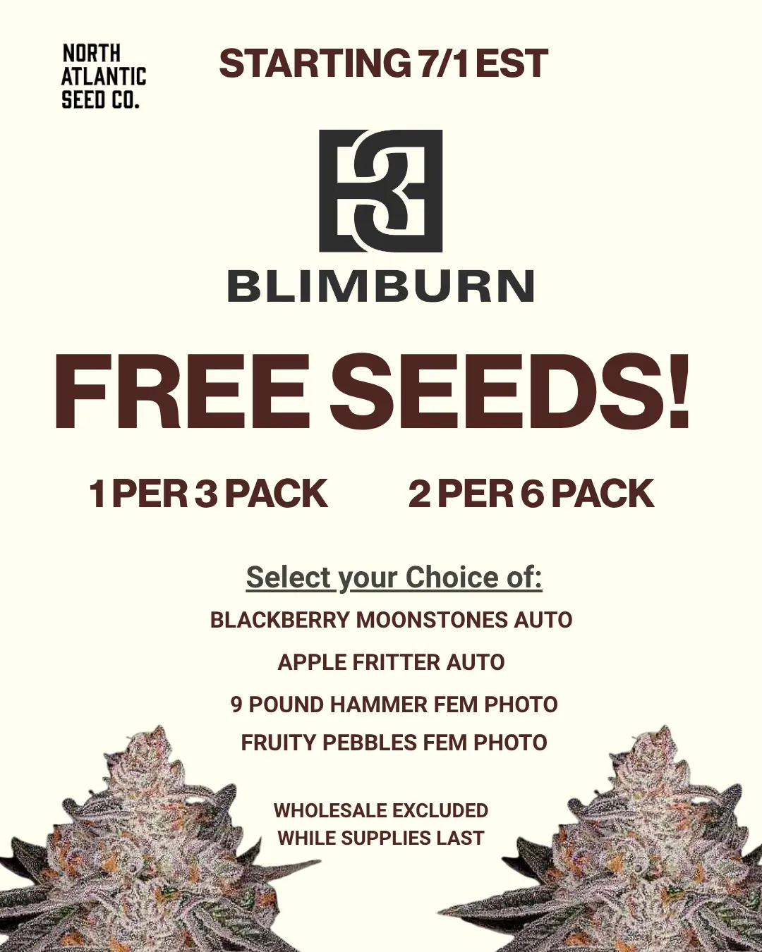 Blimburn Seeds Image