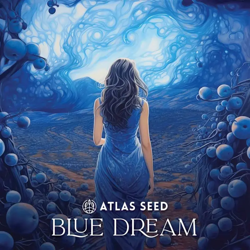 Blue Dream Cannabis Seeds by Atlas Seed