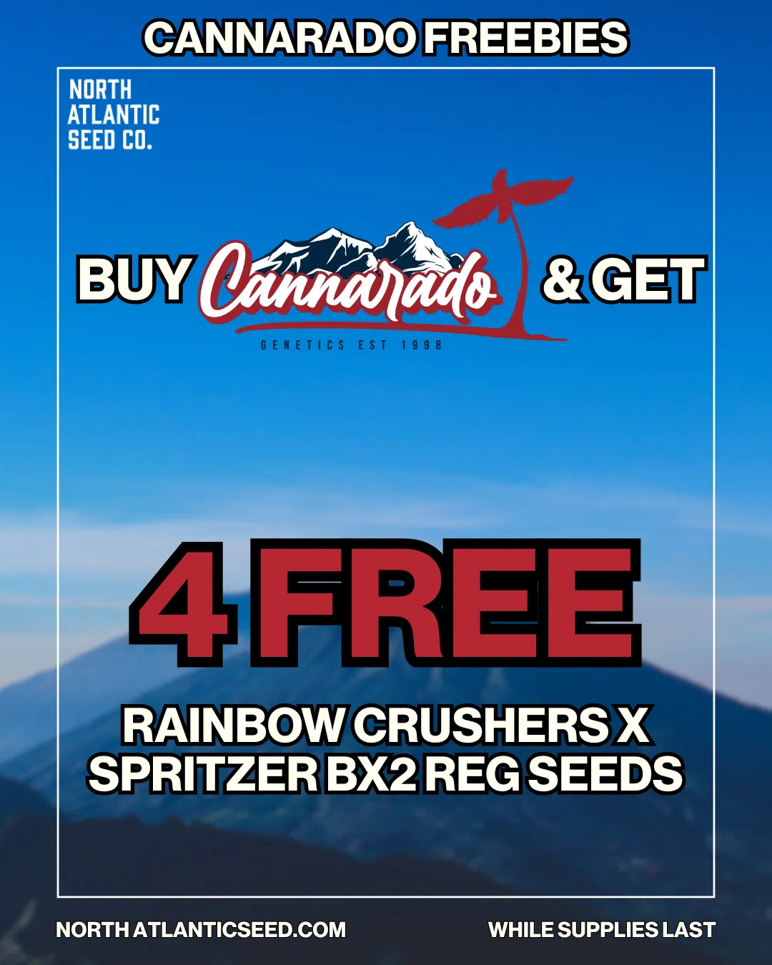 Cannarado Genetics cannabis seeds