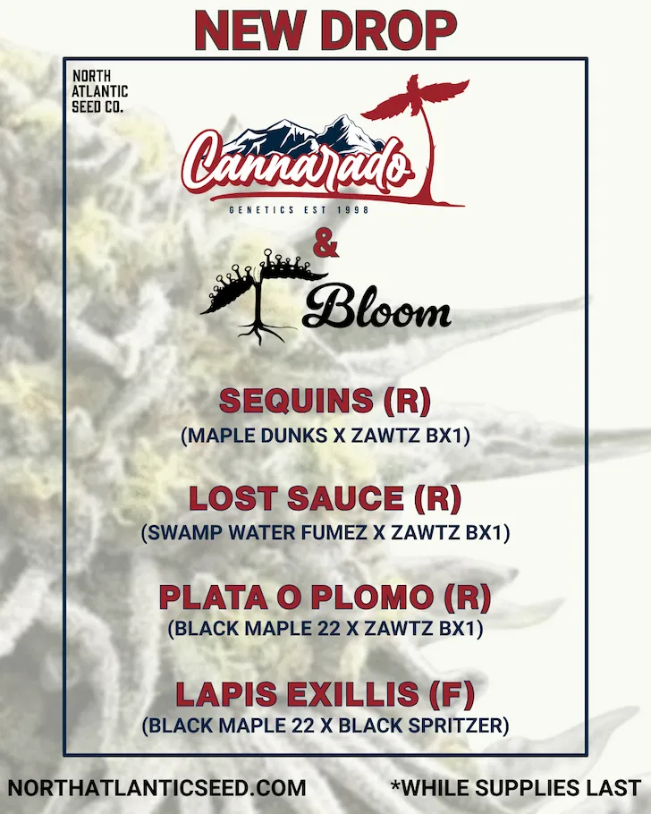 Cannarado and Bloom Collab cannabis seeds