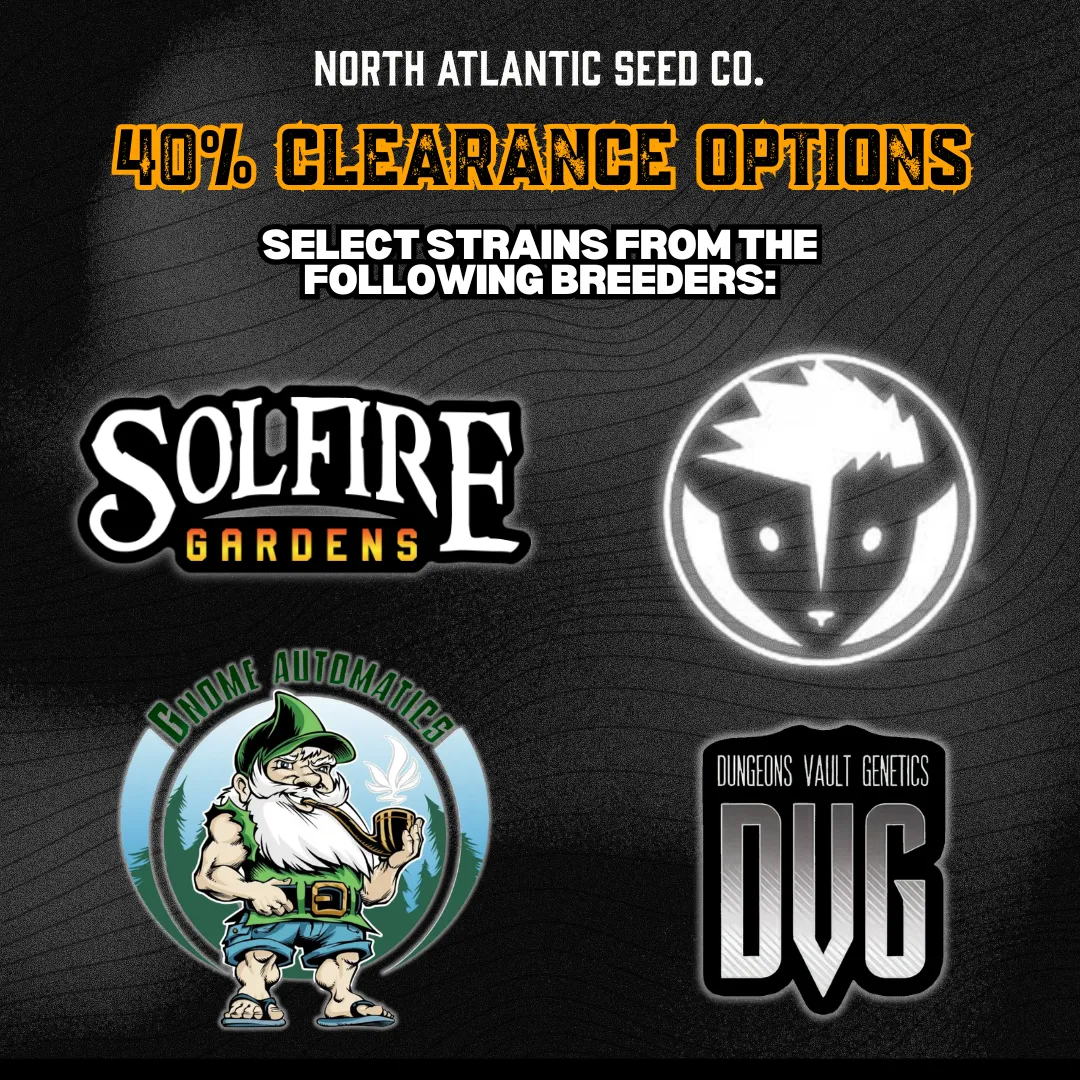Clearance 40% Off cannabis seeds
