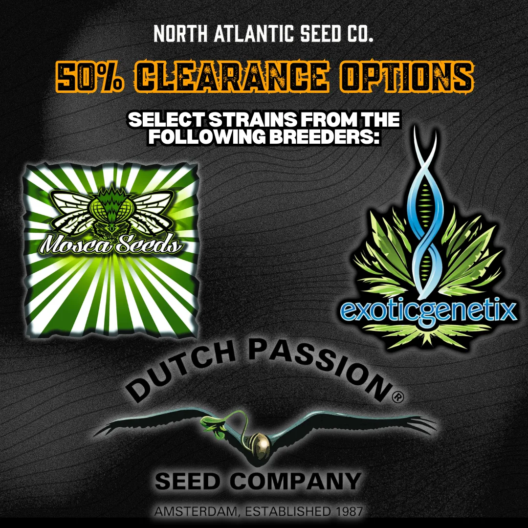 Clearance 50% Off cannabis seeds