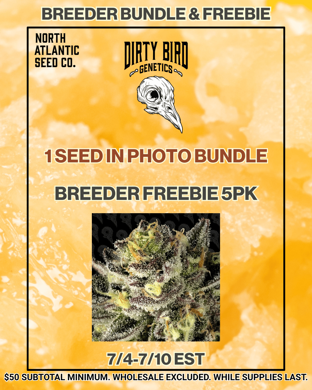 Dirty Bird Genetics Image