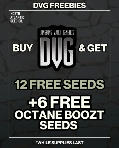 Dungeons Vault Genetics's promotional image