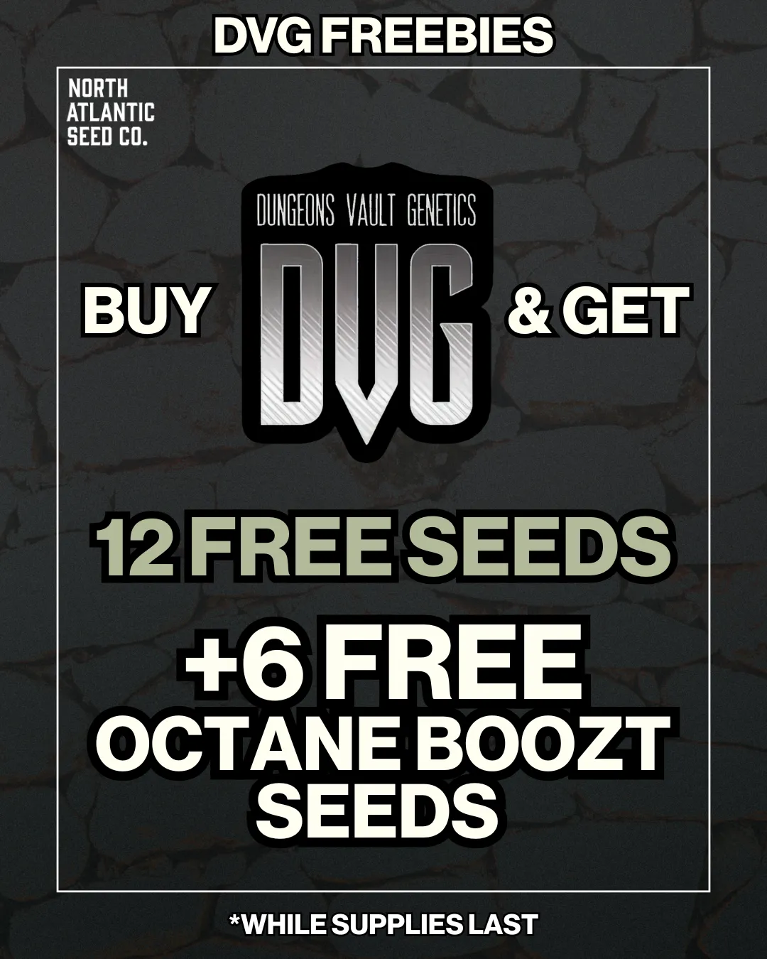 Dungeons Vault Genetics cannabis seeds