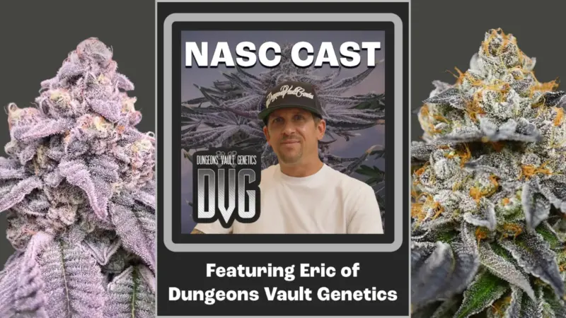 NASC Cast: Dungeons Vault Genetics