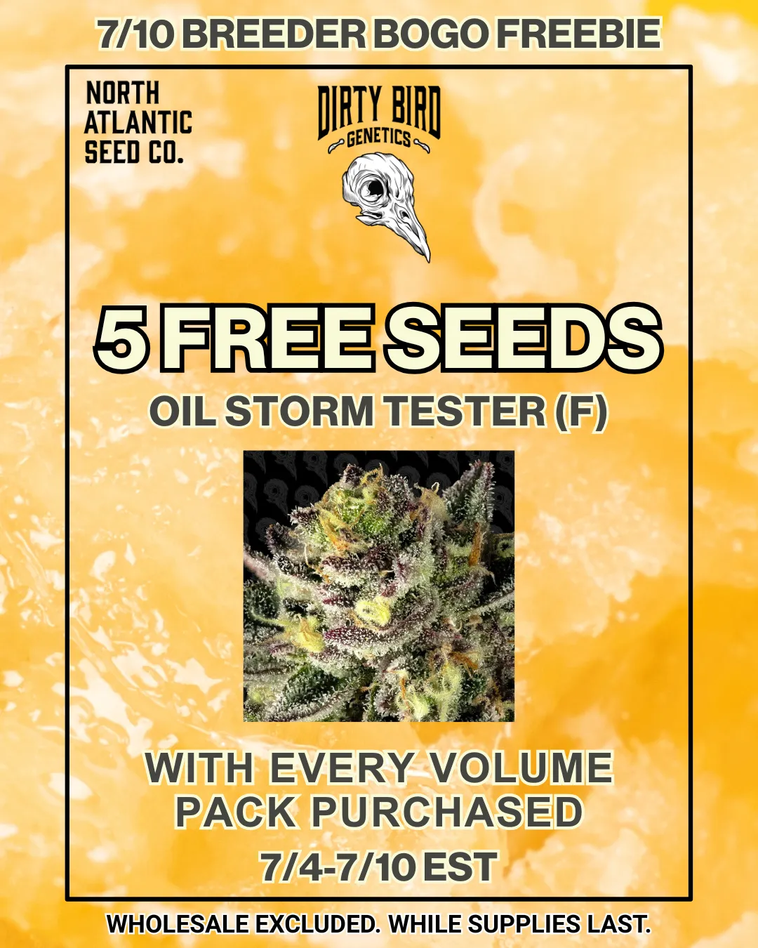 Dirty Bird Genetics - All Volumes Image