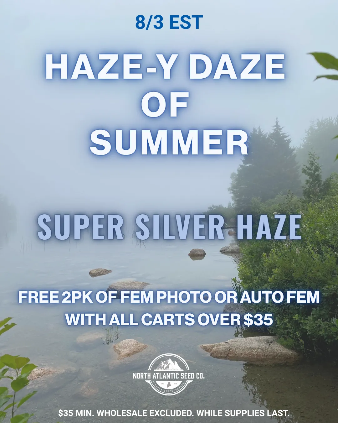 Hazey Daze of Summer Promo