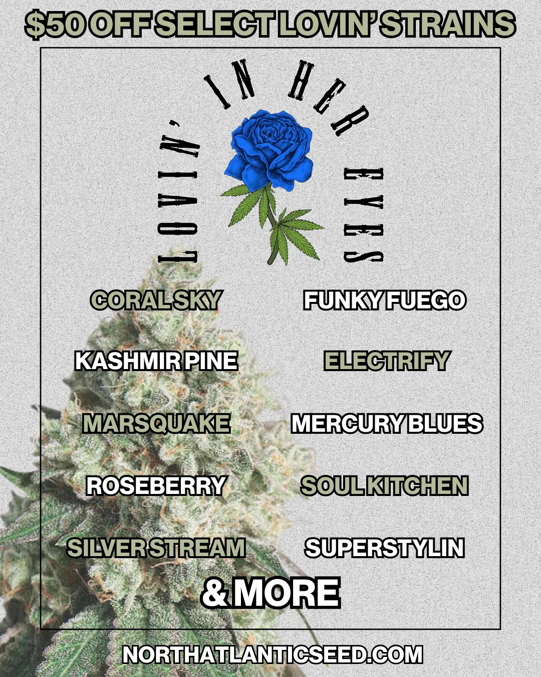 Lovin' In Her Eyes cannabis seeds