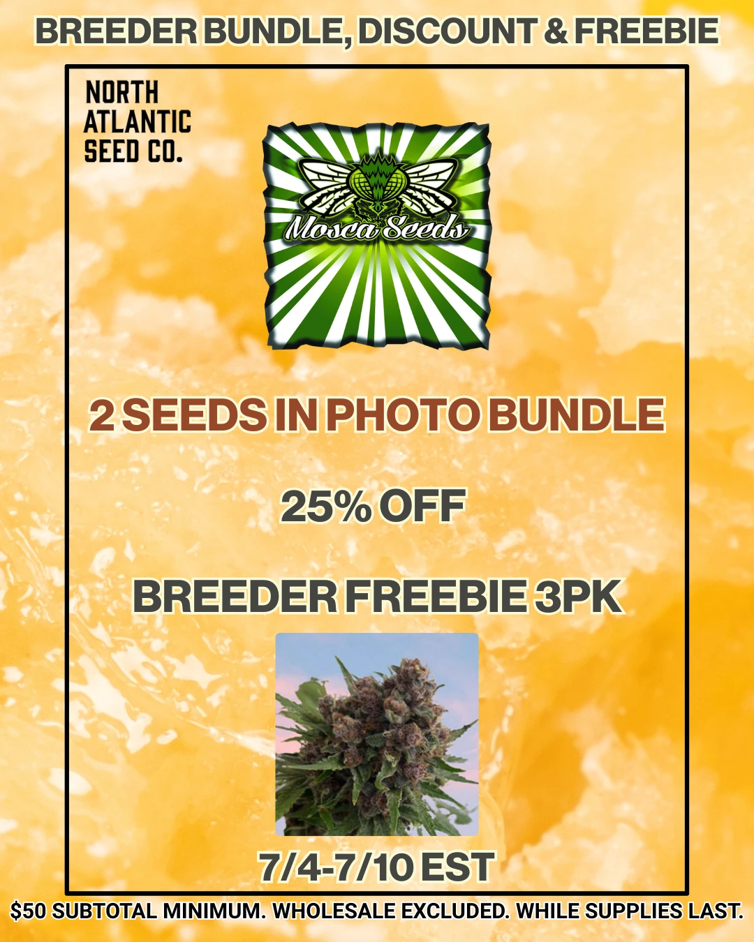 Mosca Seeds cannabis seeds