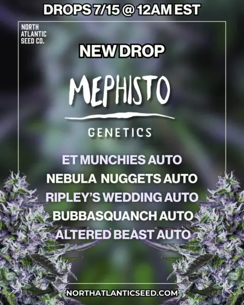 Mephisto Genetics Autos's logo or representative image