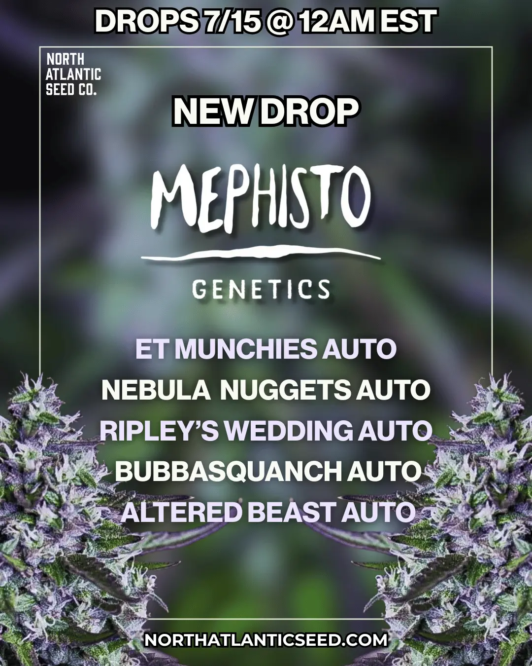 Mephisto Genetics Autos Image