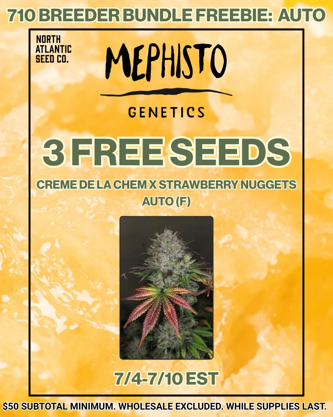Mephisto Genetics Autos cannabis seeds