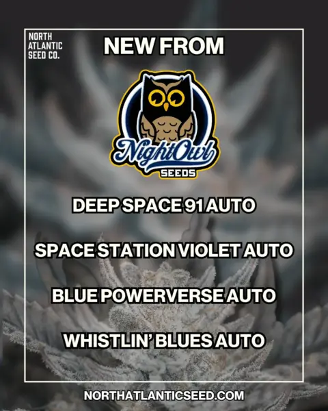 Night Owl New Strains Summer 2025's promotional image