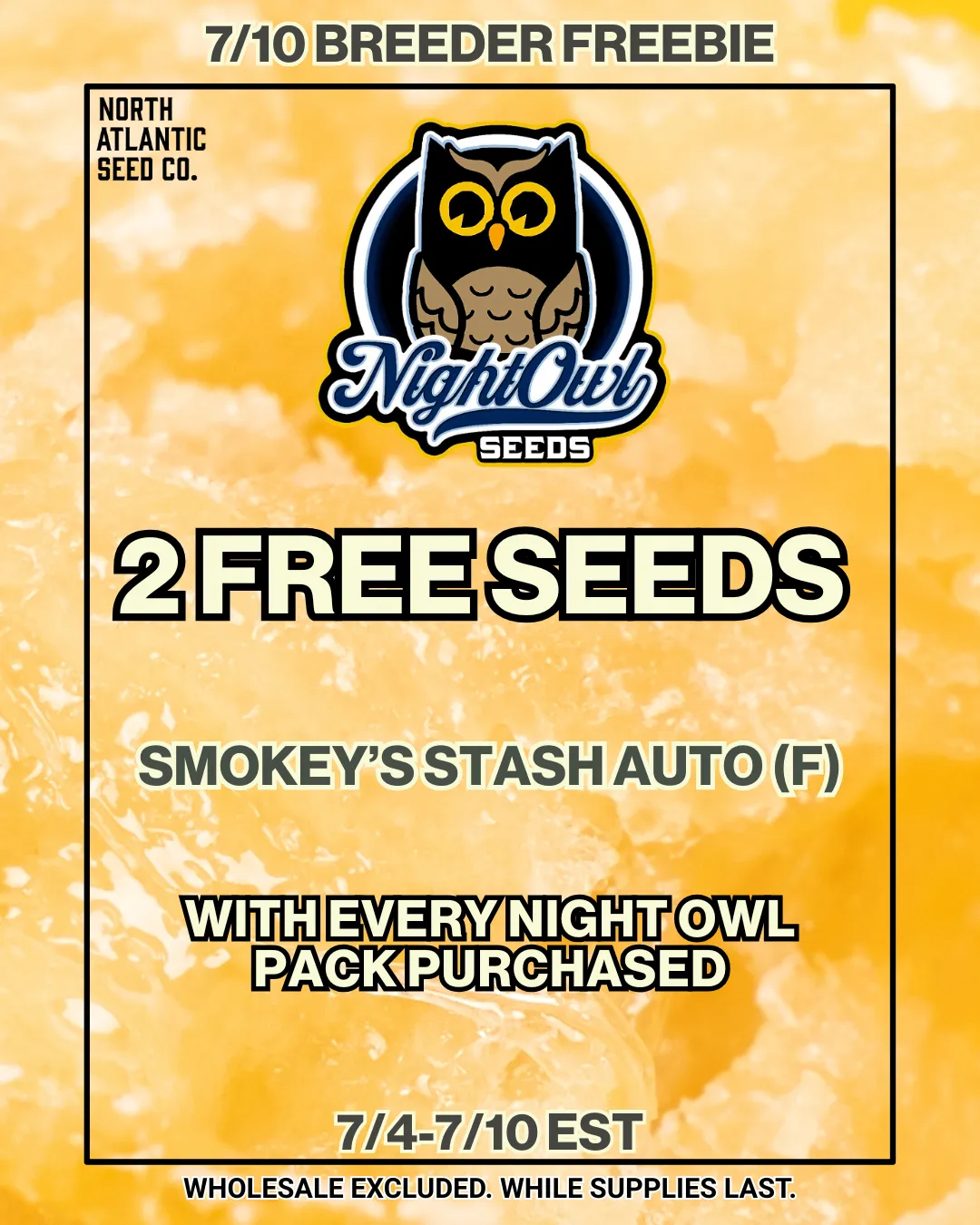 Night Owl Seeds Image