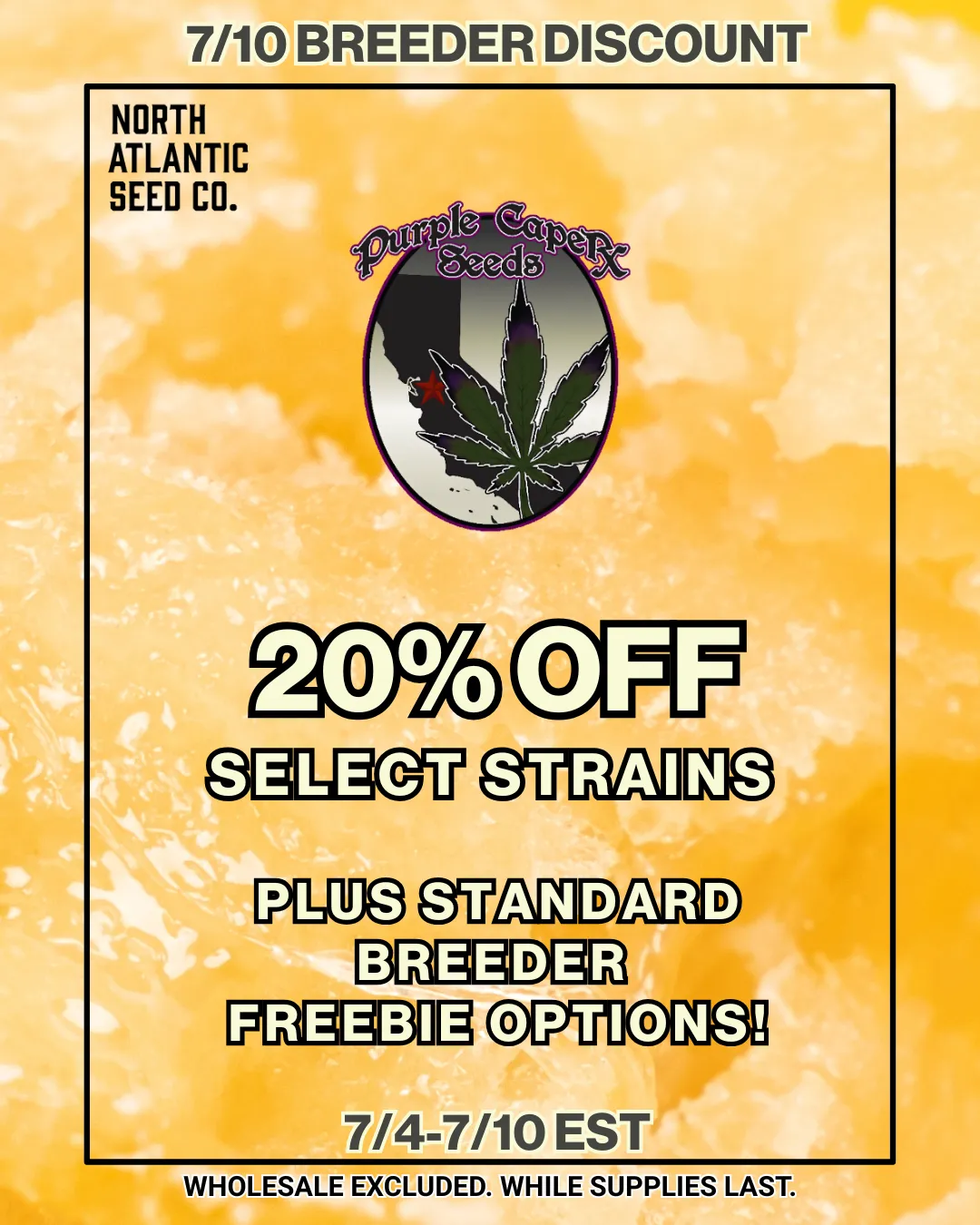 Purple Caper 20% off Sale!!! Image