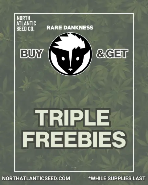 Rare Dankness's promotional image