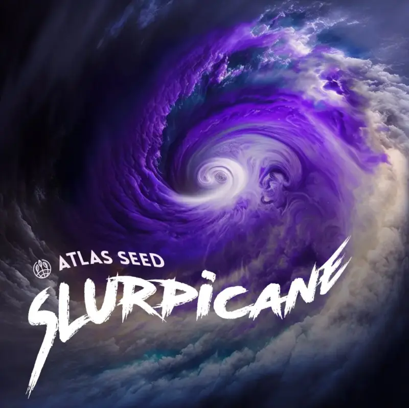 Slurpicane Fast Cannabis Seeds by Atlas Seed