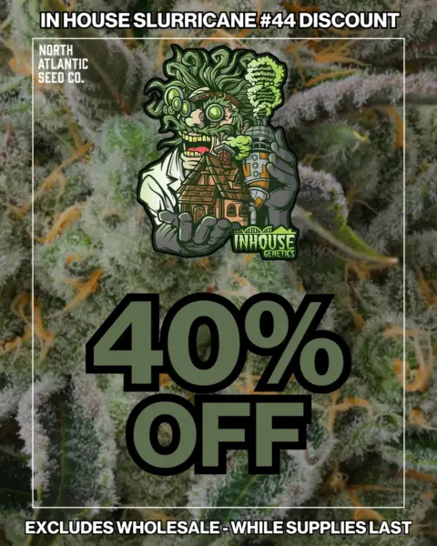 Slurricane #44 Drop's promotional image