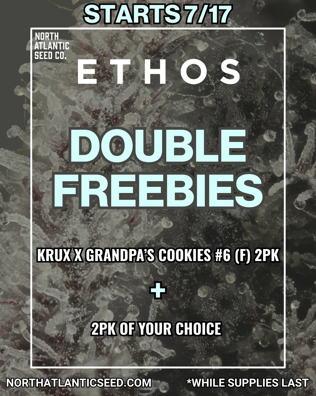 Ethos Genetics Image