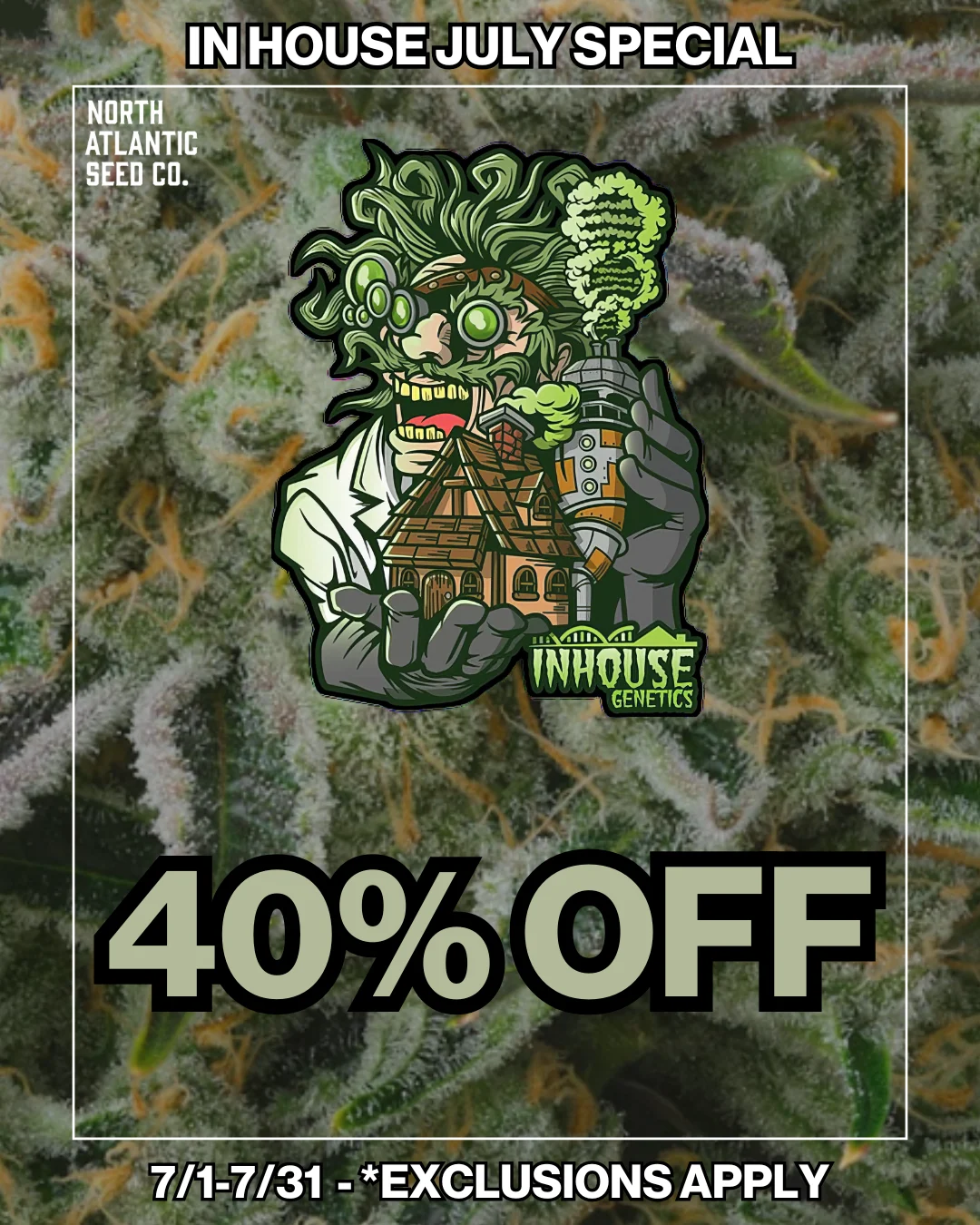 In House Genetics cannabis seeds