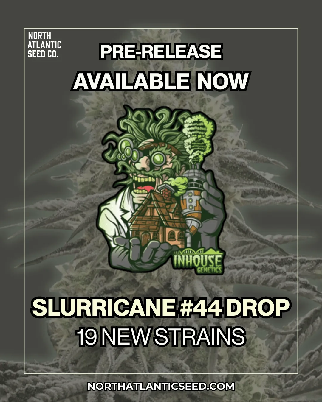 Slurricane #44 Drop Image