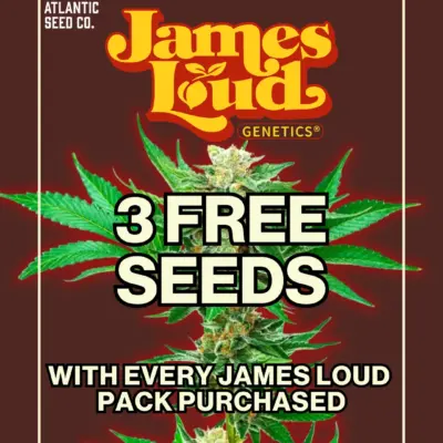 James Loud Genetics