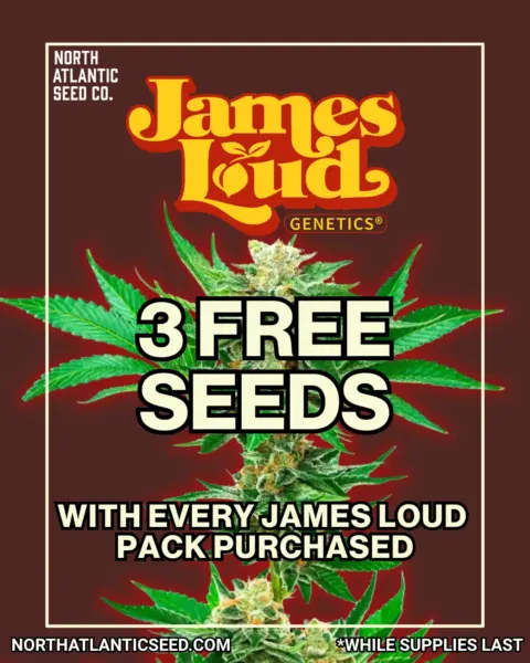 James Loud Genetics's promotional image