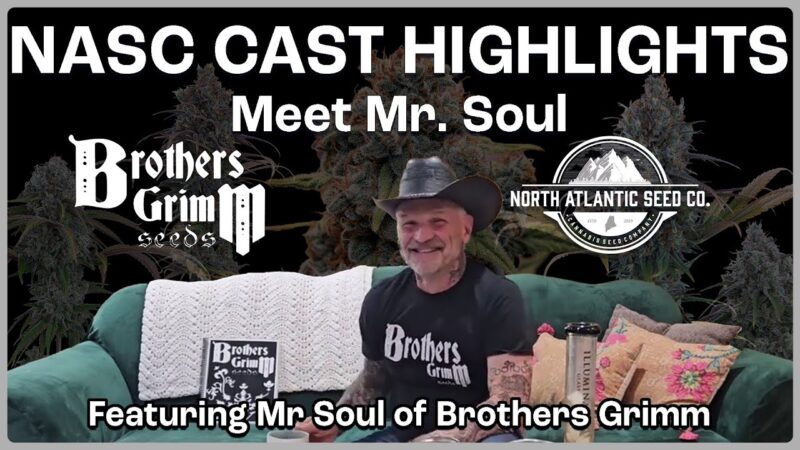 NASC Cast: Featuring Mr. Soul of Brothers Grimm Seeds