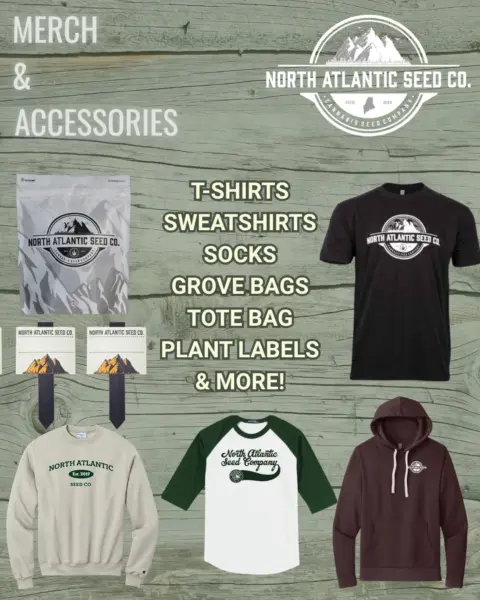 MERCH's promotional image
