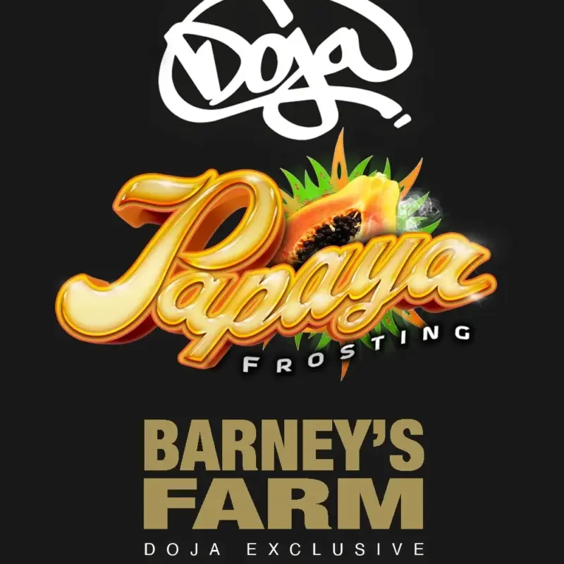 papaya frosting cannabis seeds by barney's farm