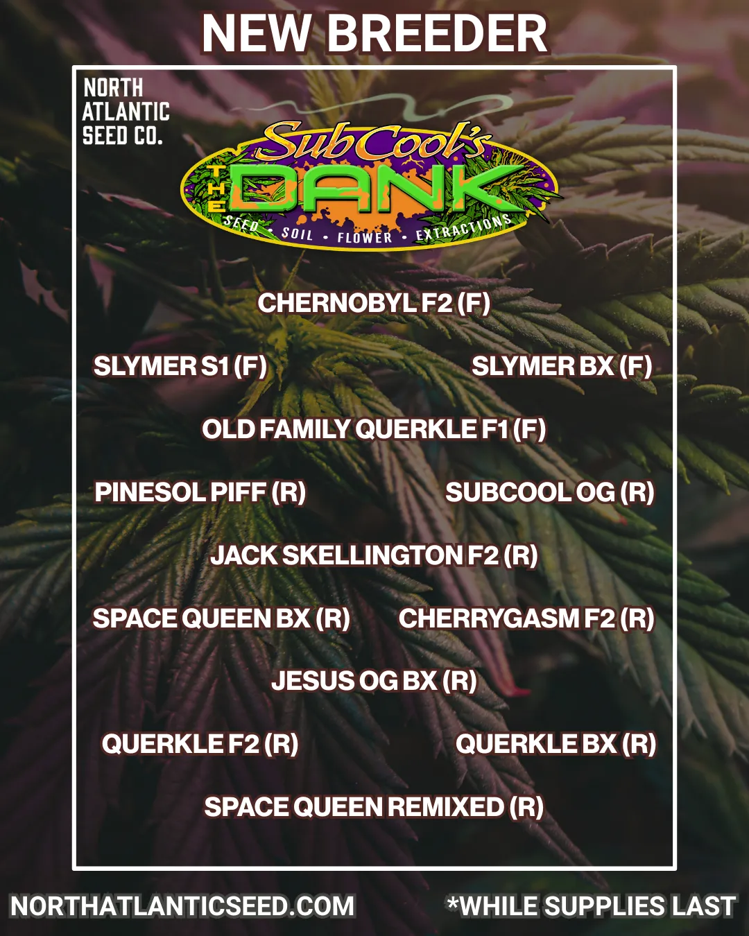 Subcool Seeds cannabis seeds