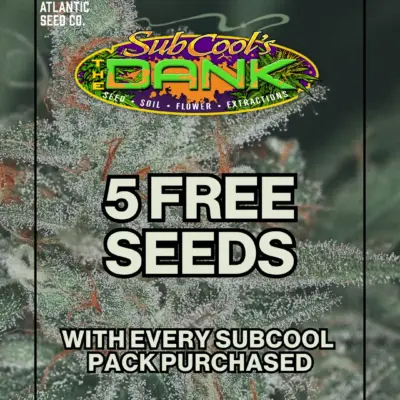 Subcool Seeds