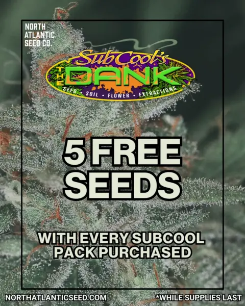Subcool Seeds's promotional image