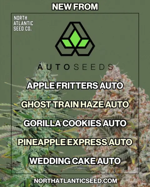 Auto Seeds's logo or representative image