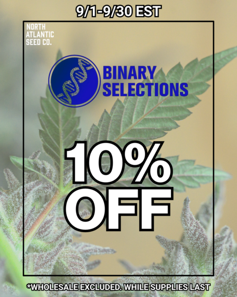 Binary Selections's logo or representative image
