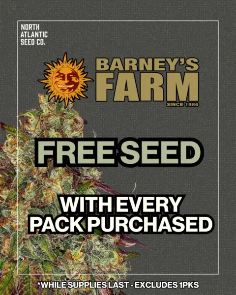 Barney's Farm's promotional image