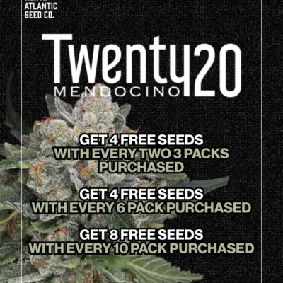 Twenty20 Mendocino