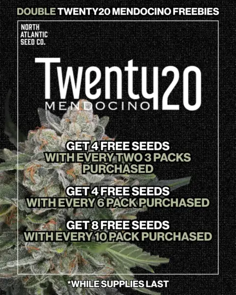 Twenty20 Mendocino's promotional image