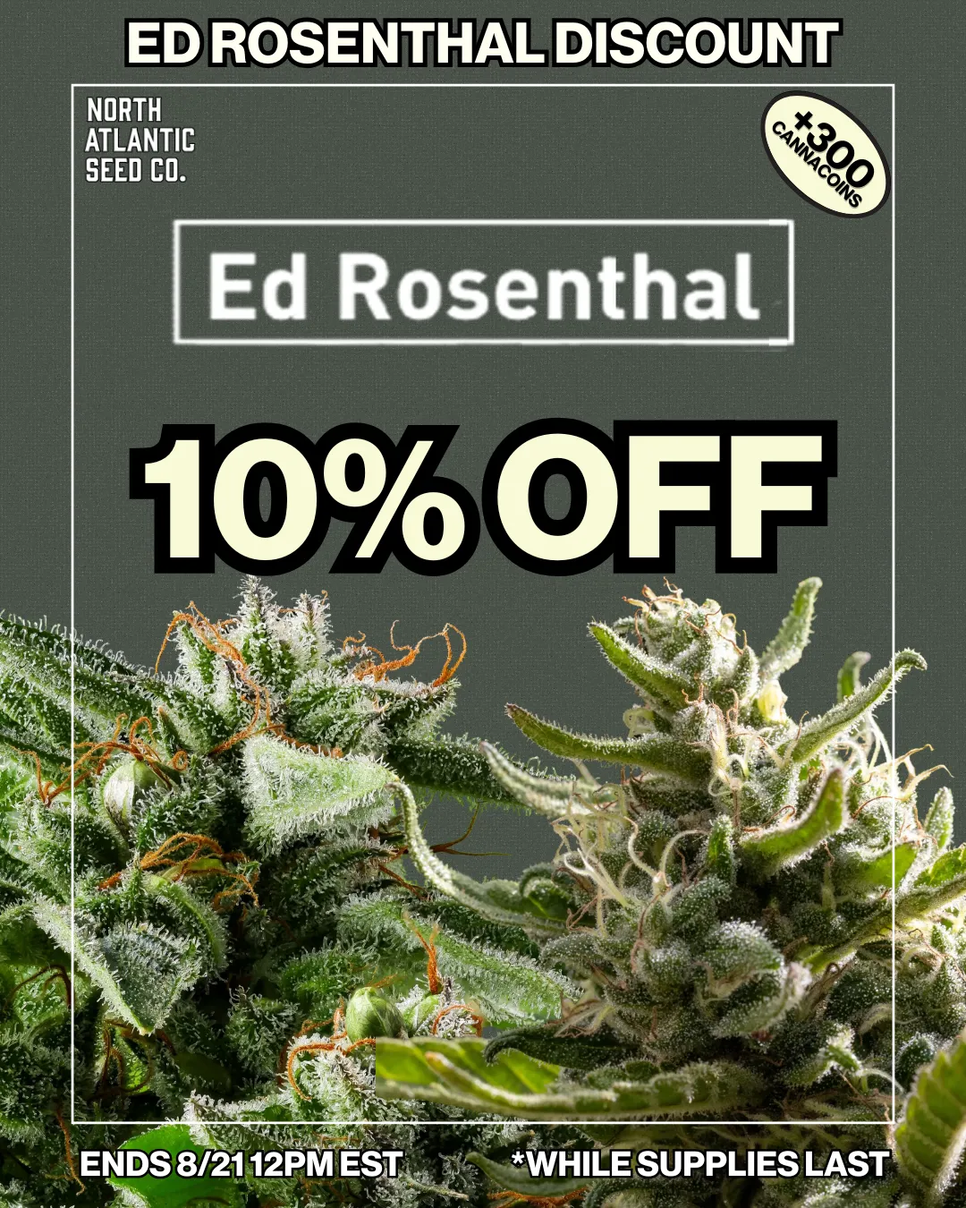 Ed Rosenthal Exclusives Image