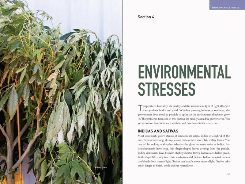 Marijuana Garden Saver by Ed Rosenthal