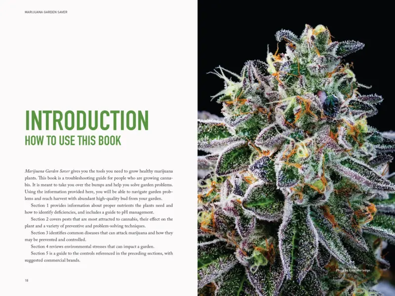 Marijuana Garden Saver by Ed Rosenthal