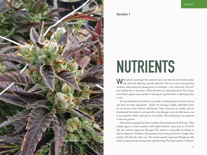 Marijuana Garden Saver by Ed Rosenthal