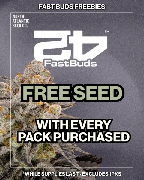 Fast Buds's promotional image