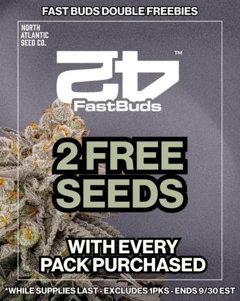 Fast Buds's logo or representative image